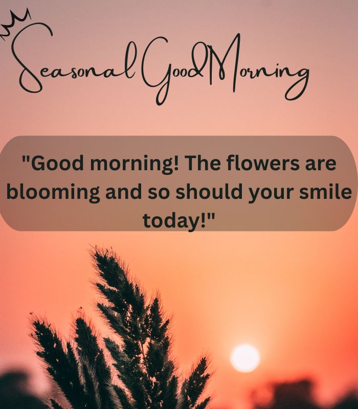 Seasonal Good Morning
